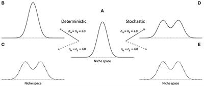 Environmental Fluctuations and Their Consequences for the Evolution of Phenotypic Diversity